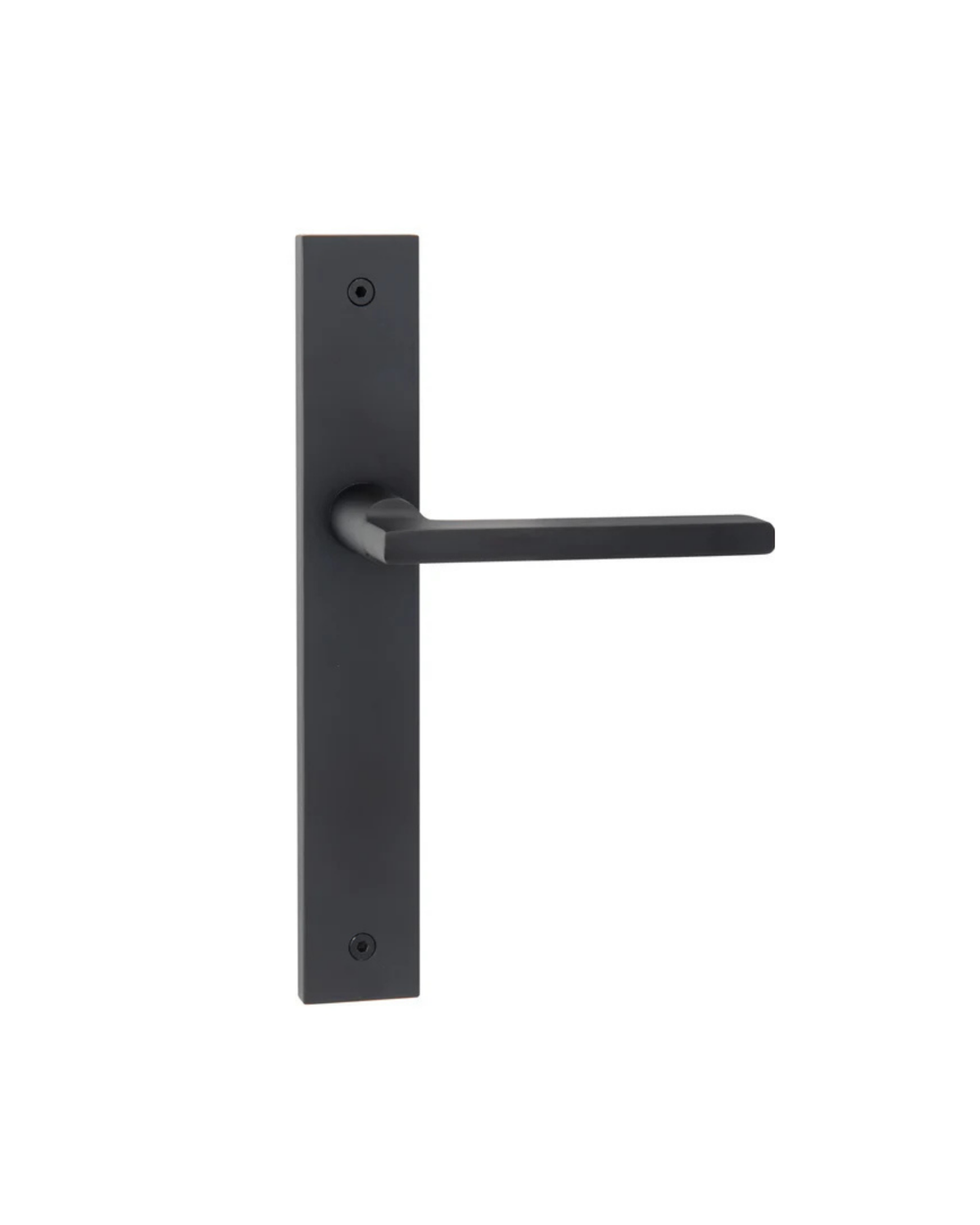 Decorus ("Modern Square" Long Plate)