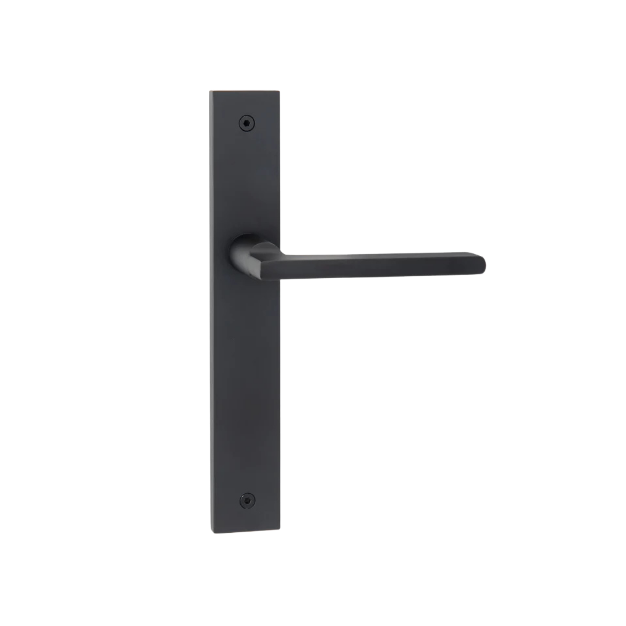 Decorus ("Modern Square" Long Plate)