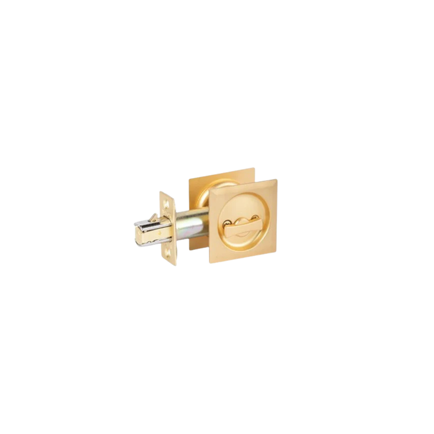 Cavity Door Lock