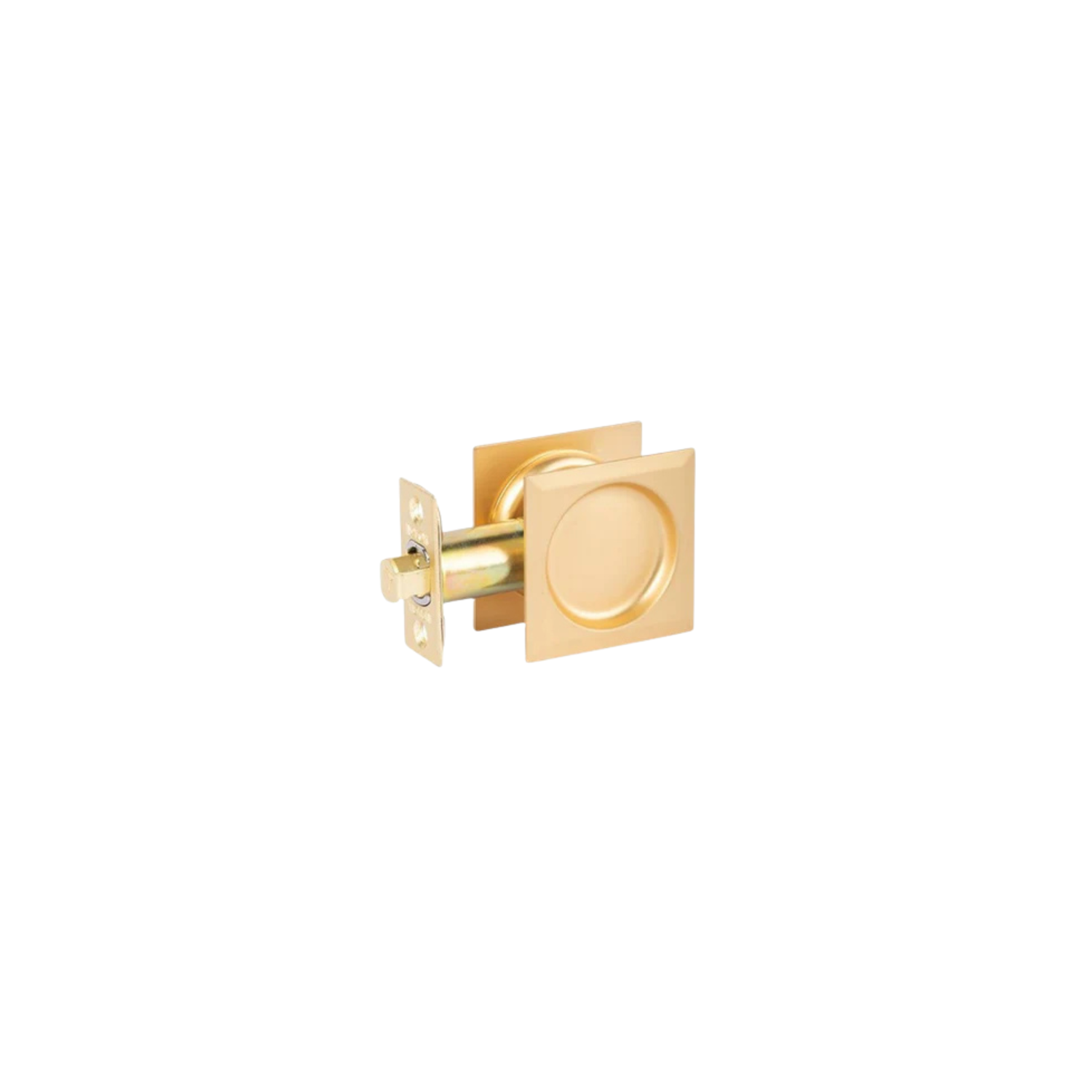 Cavity Door Lock