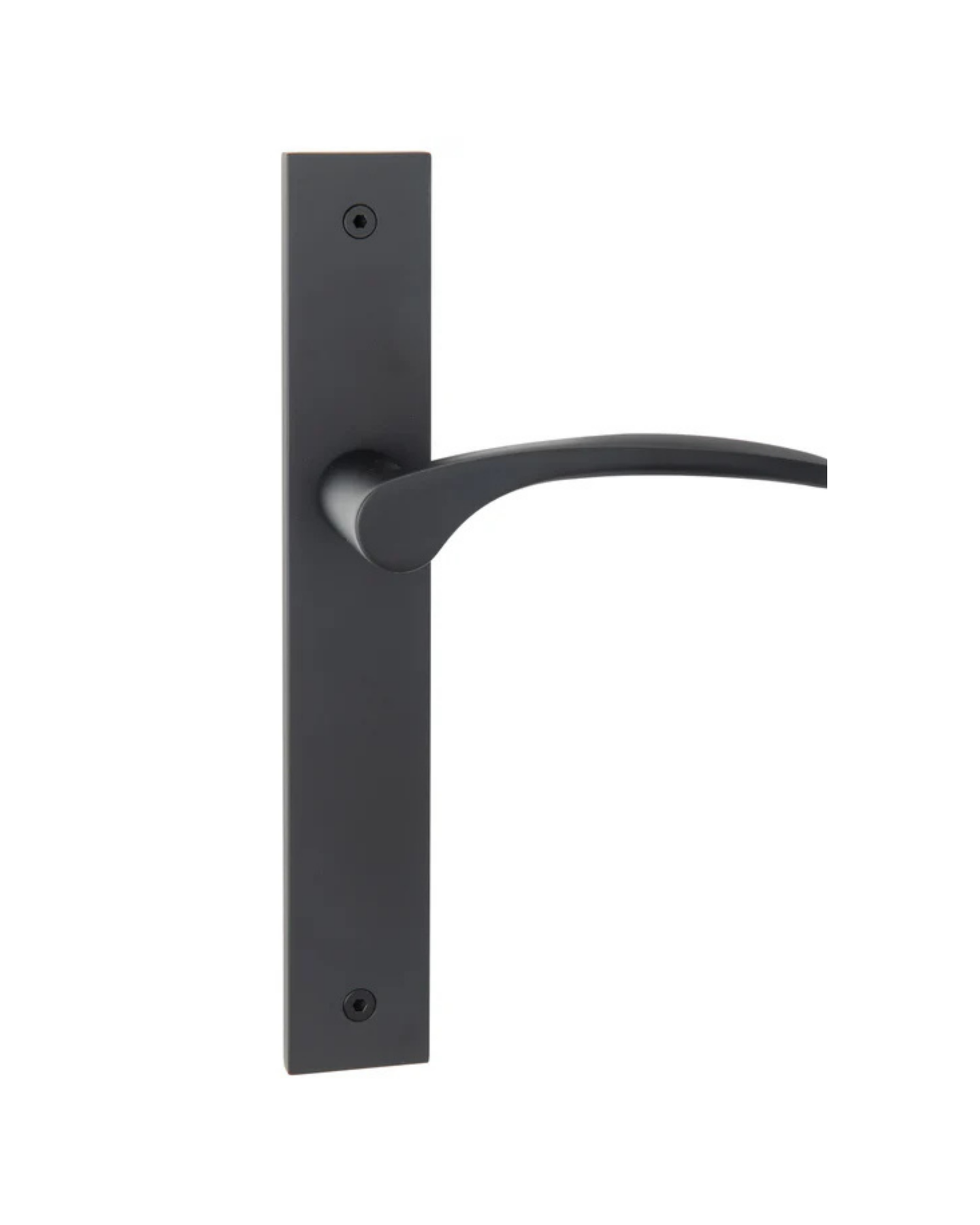 Curva ("Modern Square" Long Plate)