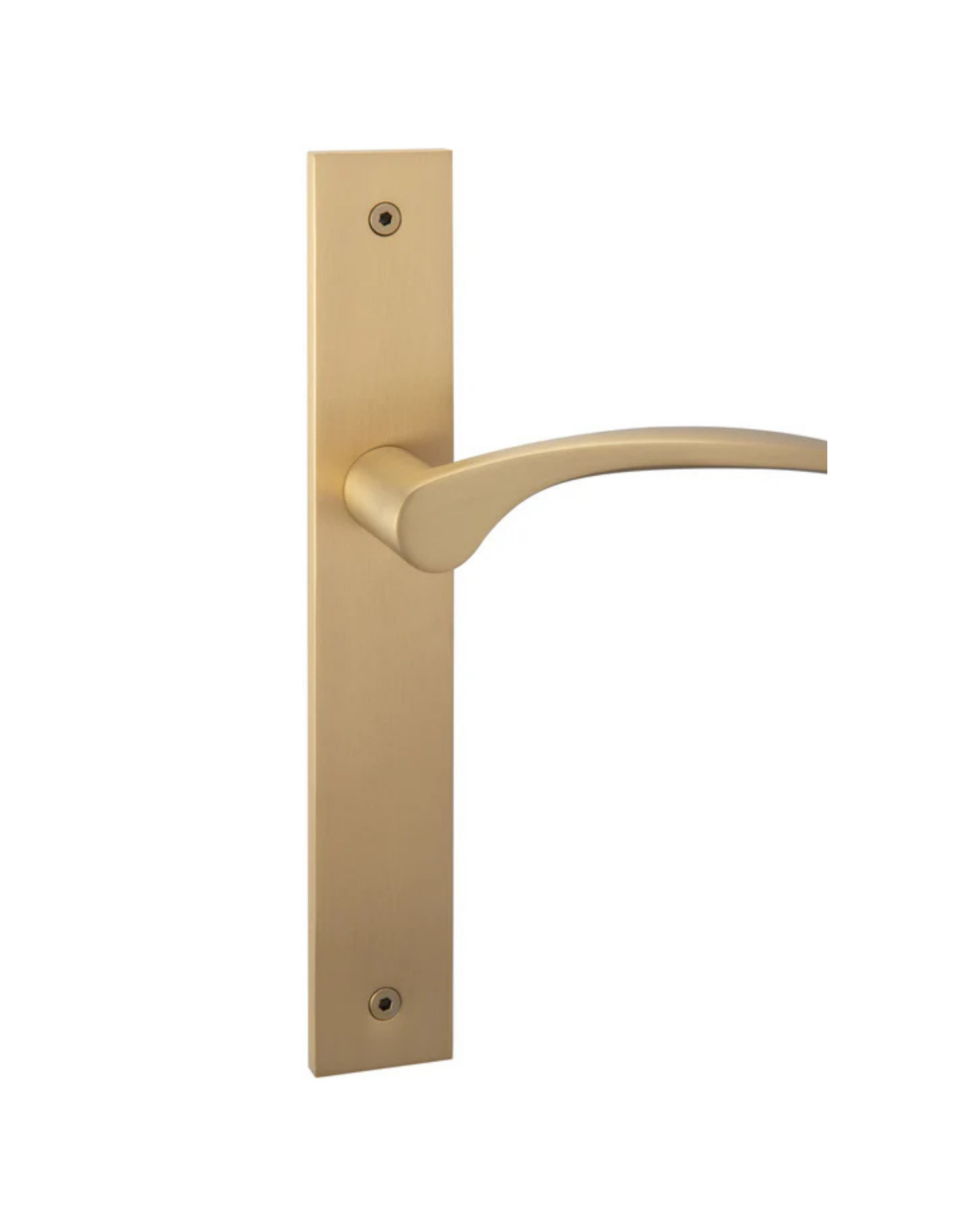 Curva ("Modern Square" Long Plate)