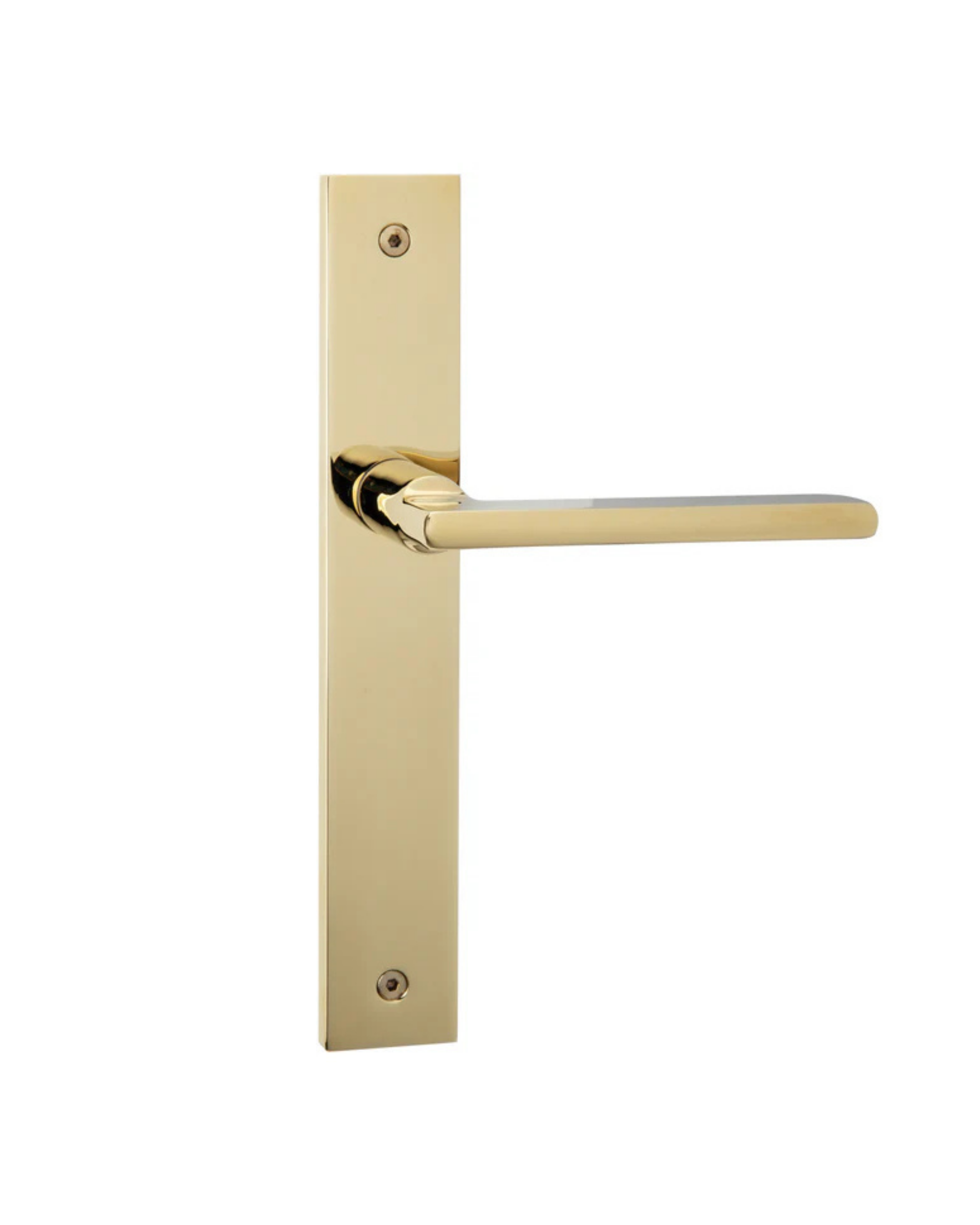 Decorus ("Modern Round" Long Plate)